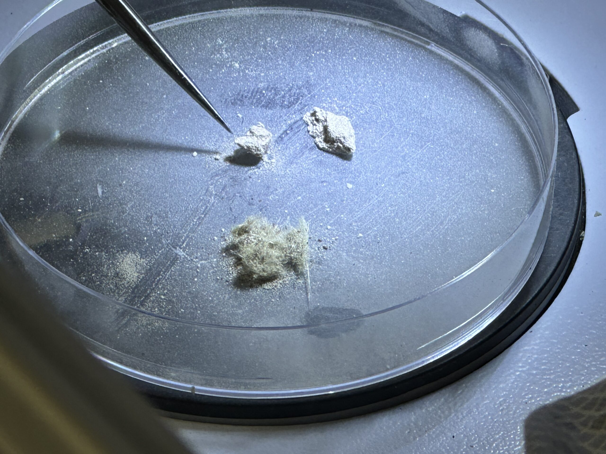 Occupational Hygienist Asbestos testing